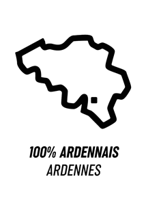 bois 100% ardennes WATT DE FEU