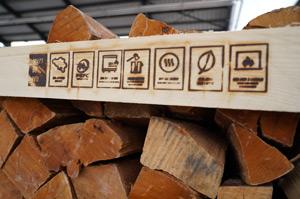 WATT DE FEU palette gros plan
