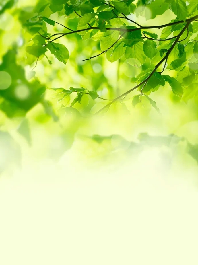 goffinet energies luxembourg pellets image feuilles